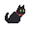 I am a cat.